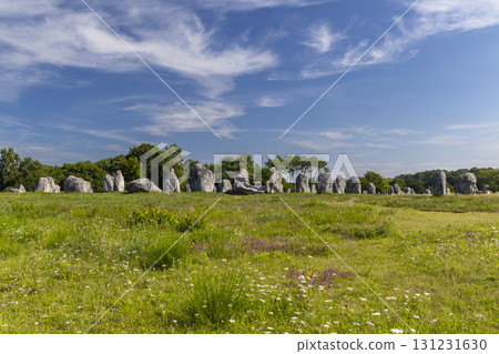 Standing stones (or menhirs) in Carnac, Morbihan, Brittany, France Standing stones (or menhirs) in Carnac, Morbihan, Brittany, France 131231630