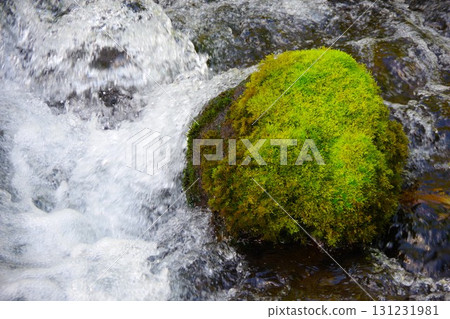 北海道京極鎮吹出公園的泉水 131231981
