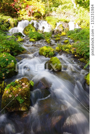 北海道京極鎮吹出公園的泉水 131231984