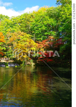Spring water and autumn leaves at Fukidashi Park in Kyogoku Town, Hokkaido 131232000