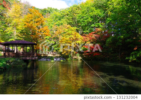 Autumn leaves at Fukidashi Park in Kyogoku Town, Hokkaido 131232004