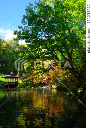 Spring water and autumn leaves at Fukidashi Park in Kyogoku Town, Hokkaido 131232012