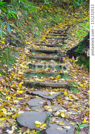 北海道京極鎮吹出公園的步道 北海道京極鎮吹出公園的步道 131232013