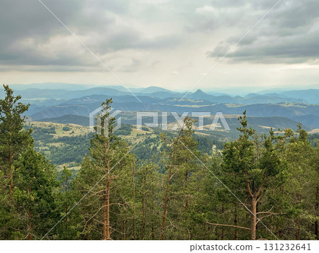 Dense pine forest in the foreground with rolling green hills and distant mountains under cloudy sky Dense pine forest in the foreground with rolling green hills and distant mountains under cloudy sky 131232641