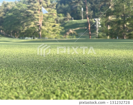 高爾夫球場綠色 131232728