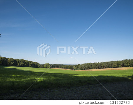 Green field in forest in Nordrhein-Westfalen, Germany Green field in forest in Nordrhein-Westfalen, Germany 131232783
