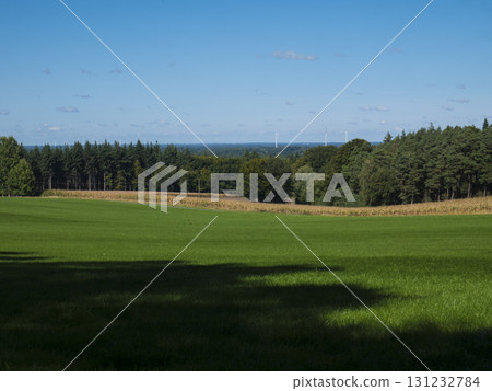 Green field in forest in Nordrhein-Westfalen, Germany Green field in forest in Nordrhein-Westfalen, Germany 131232784