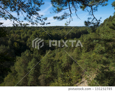 Green forest in Nordrhein-Westfalen, Germany 131232785