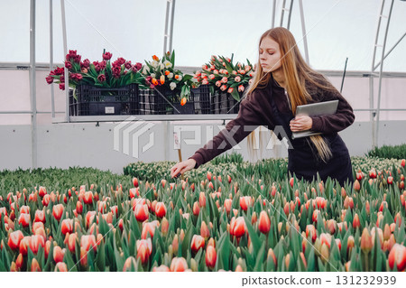 Young woman in dark clothing carefully examines vibrant tulips in a greenhouse, surrounded by lush greenery and colorful flowers, showcasing the beauty of floral cultivation and gardening techniques 131232939