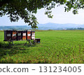 Swiss beehives near Lake Zurich 131234005