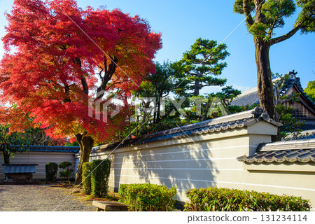 Kyoto City - Hojuji Mausoleum of the 77th Emperor Goshirakawa 131234114