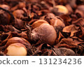Brown bulb and dead leaf texture 131234236