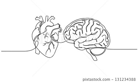 Heart and brain connection concept drawn in one continuous line showing emotion and logic balance for psychology or health illustration 131234388