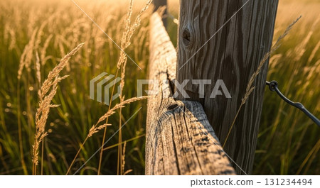Weathered wooden fence post in golden hour meadow 131234494