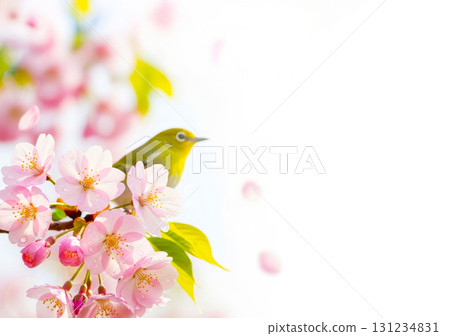 春天的花朵和小昆蟲 春天的花朵和小昆蟲 131234831