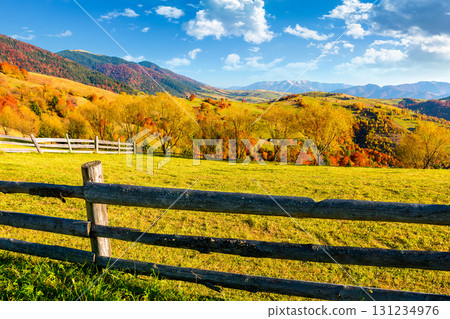 mountainous rural landscape of ukraine in autumn. field behind the wooden fence. sunny afternoon. transcarpathia scenery in fall season. forest on the hill. ridge in the distance mountainous rural landscape of ukraine in autumn. field behind the wooden fence. sunny afternoon. transcarpathia scenery in fall season. forest on the hill. ridge in the distance 131234976