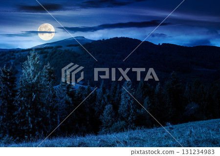 fir trees on meadow and hillside with conifer forest under the blue sky with clouds at night. mountainous countryside landscape in early autumn in full moon light fir trees on meadow and hillside with conifer forest under the blue sky with clouds at night. mountainous countryside landscape in early autumn in full moon light 131234983
