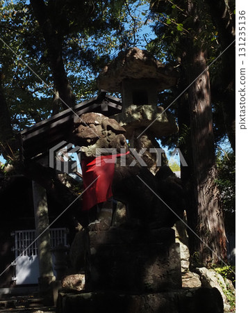 Komainu and lanterns bathed in sunlight filtering through the trees (Takio Shrine on the mountain) Komainu and lanterns bathed in sunlight filtering through the trees (Takio Shrine on the mountain) 131235136