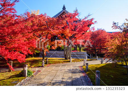 Chishaku-in Temple in autumn 131235323