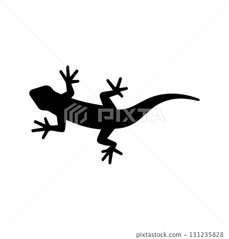Gecko wrap design perfect for eco-friendly hotels and tropical living projects 131235828
