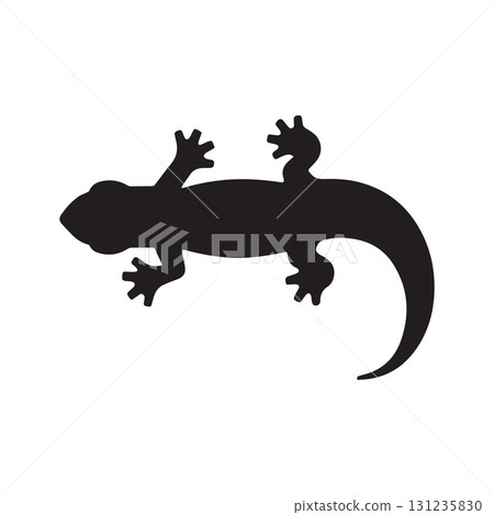 Spiral tail design perfect for natural interior branding and villa architecture 131235830