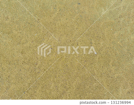Sand ripple texture top view, Empty rough dry brown sand beach shore background, Grain pattern yellow sand dune in summer Sand ripple texture top view, Empty rough dry brown sand beach shore background, Grain pattern yellow sand dune in summer 131236994