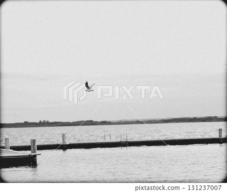 A bird soars over a calm lake, a quiet and cozy place A bird soars over a calm lake, a quiet and cozy place 131237007