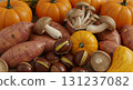 Autumn flavors (mushrooms, pumpkin, chestnuts, sweet potatoes) 1 131237082
