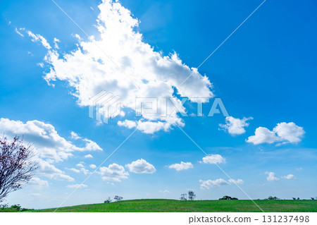 Blue sky and clouds and prairie 131237498