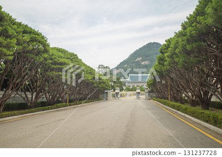 The road leading to the Blue House 131237728
