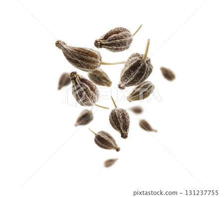 Anise seeds levitate on a white background Anise seeds levitate on a white background 131237755