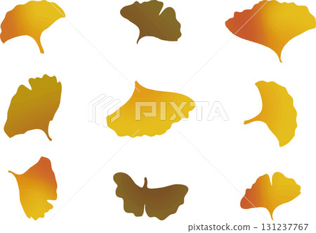 Set of colorful ginkgo leaves Set of colorful ginkgo leaves 131237767