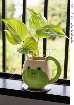 窗台上的花盆和室內植物 131238127