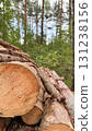 Stacked logs in a forest with green trees and a cloudy sky in the background. Natural wood texture and earthy tones dominate the scene 131238156