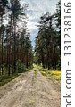 A dirt path runs through a dense forest of tall pine trees. The ground is sandy with patches of grass. The sky is partly cloudy, creating a serene atmosphere 131238166
