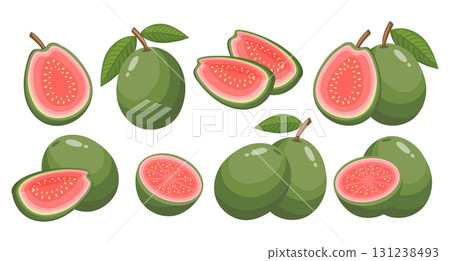 Fresh guava fruits collection, whole, halved and sliced. Healthy fruit illustration.. Tropical fruit set. 131238493