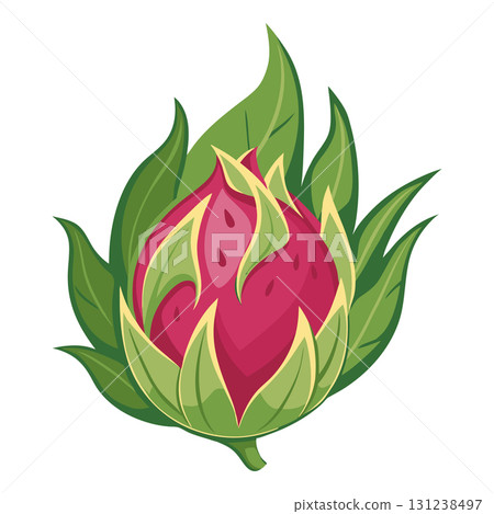 Dragon fruit icon. Pitaya fruit with leaves. Tropical fruit illustration. 131238497
