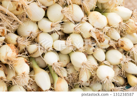 washed farm heads of onions 131238587