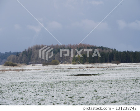 Snowy field with trees in the background Snowy field with trees in the background 131238742
