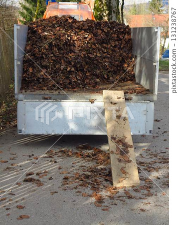 Dumpster full of leaves is on the road Dumpster full of leaves is on the road 131238767