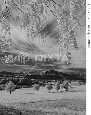 Serene Landscape in Black and White with Dramatic Skies Serene Landscape in Black and White with Dramatic Skies 131238781