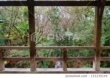 冬天的京都東福寺：從雲橋看到的仙玉館（京都市東山區） 131239144
