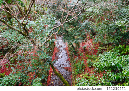 冬天的京都東福寺：從雲橋看到的仙玉館（京都市東山區） 131239251