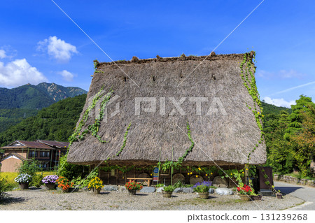 Shirakawa-go's Gassho-style houses, thatched roofs, and colorful flowers entwined with loofahs Shirakawa-go's Gassho-style houses, thatched roofs, and colorful flowers entwined with loofahs 131239268