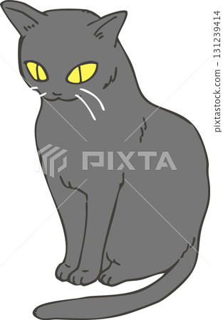 Black cat  Black cat  131239414