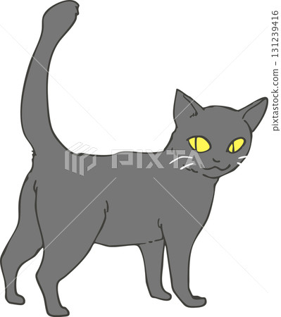 Black cat  Black cat  131239416
