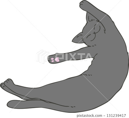 Black cat  131239417