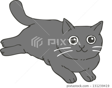 Black cat  Black cat  131239419