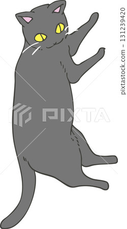 Black cat  Black cat  131239420