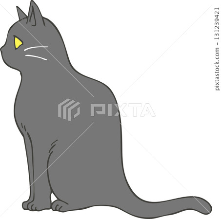 Black cat  Black cat  131239421